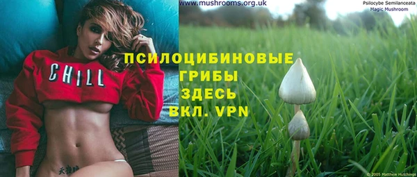 mdpv Арсеньев