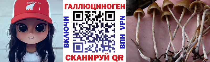 Галлюциногенные грибы ЛСД  Минусинск 